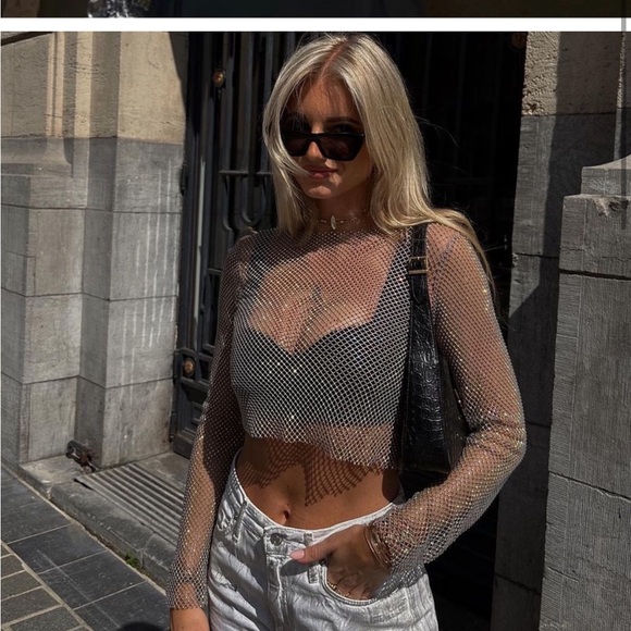 🍹NWT ZARA BLOGGERS FAVORITE favorite Shimmer Mesh Crop Top size small - Picture 4 of 11